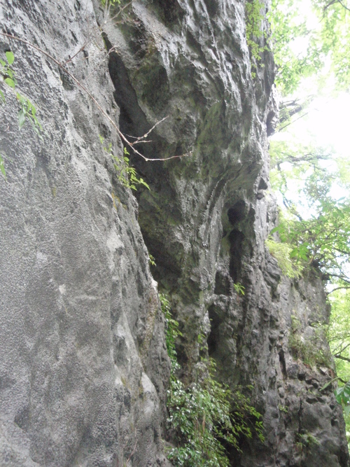 f0223480_23194221.jpg