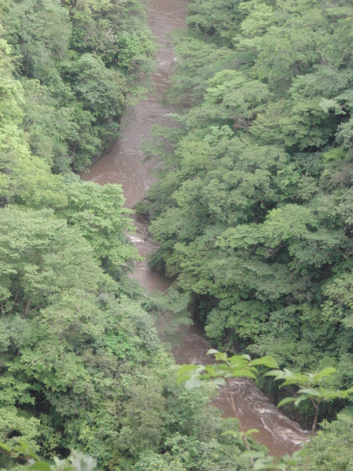 f0223480_23203188.jpg