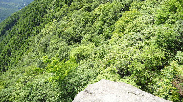 e0024081_1925477.jpg