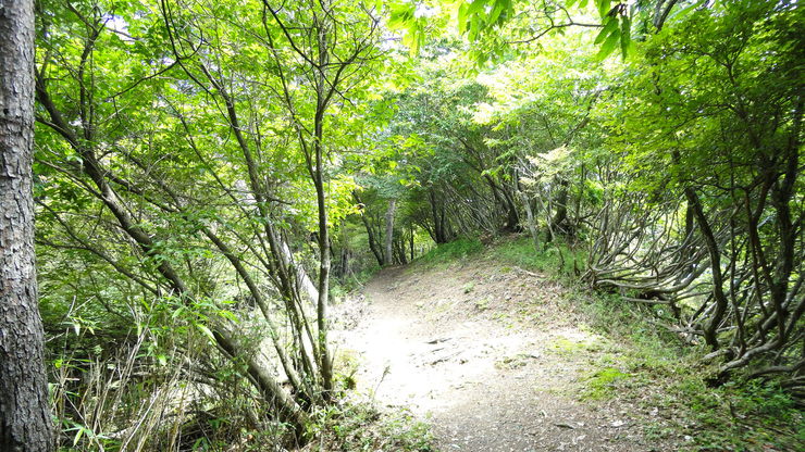 e0024081_19273072.jpg