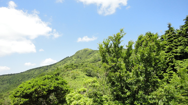 e0024081_19283831.jpg