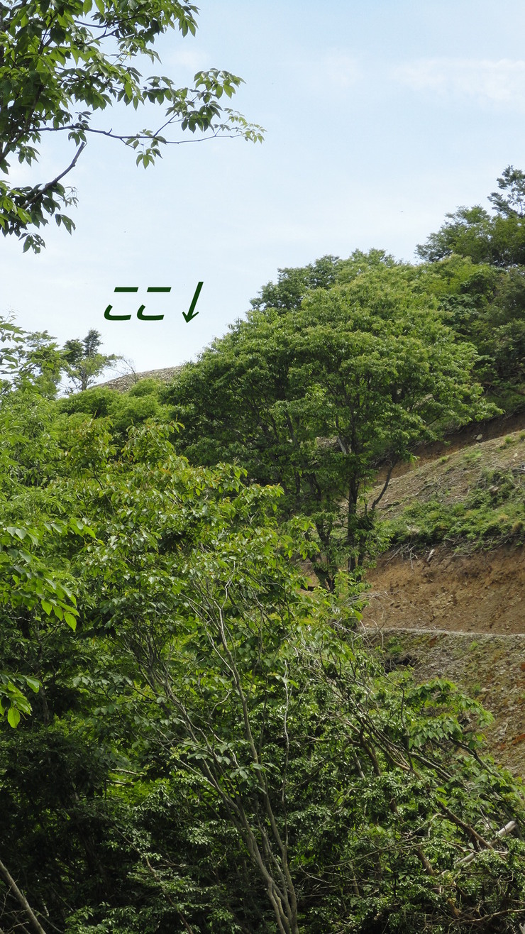 e0024081_19305077.jpg