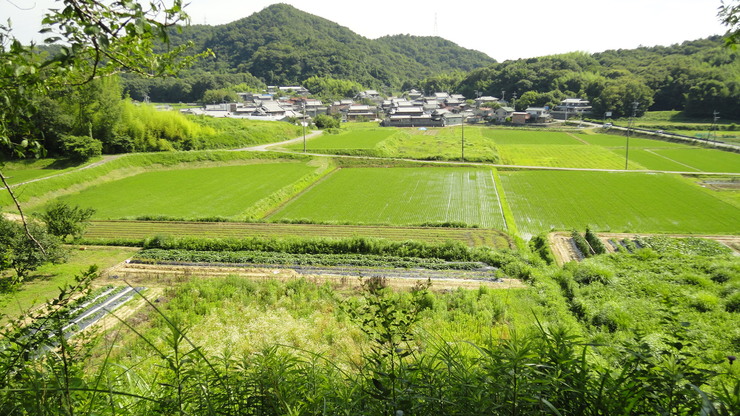 e0024081_1935532.jpg