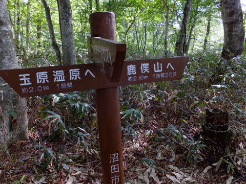 a0043982_15595737.jpg