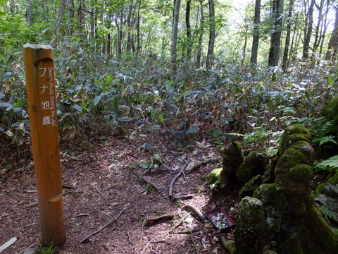 a0043982_160572.jpg
