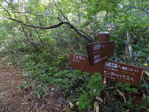 a0043982_1614839.jpg