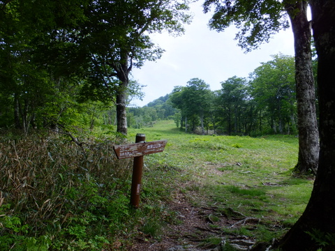 a0043982_16251061.jpg