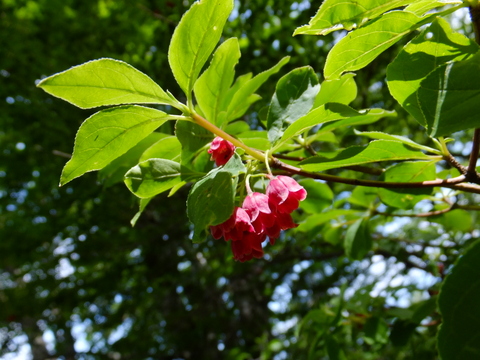 a0043982_1626468.jpg