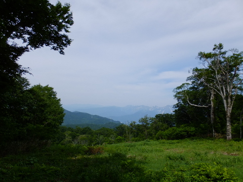 a0043982_16295822.jpg