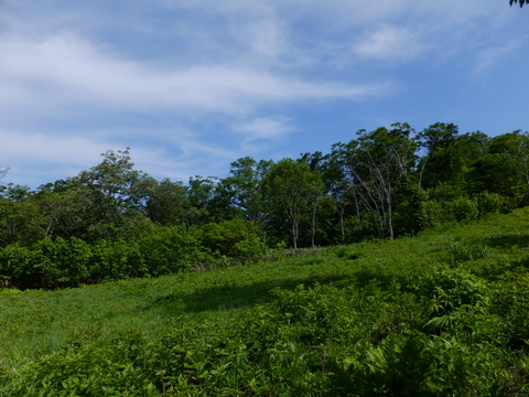 a0043982_16302238.jpg