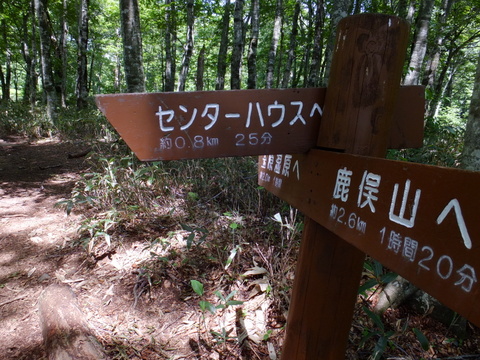 a0043982_18472131.jpg