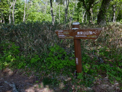 a0043982_18475381.jpg