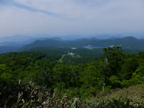 a0043982_18491492.jpg