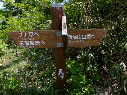 a0043982_18492221.jpg