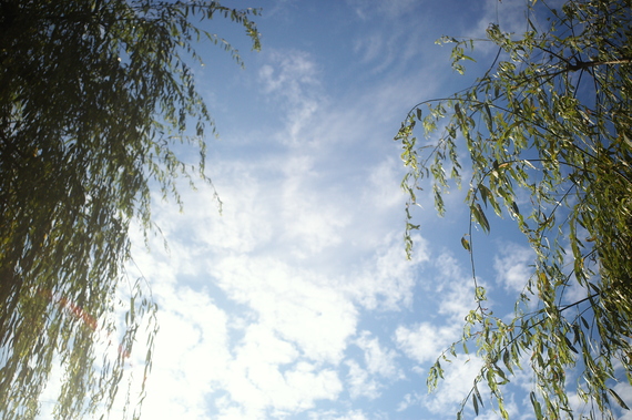 b0160184_063944.jpg