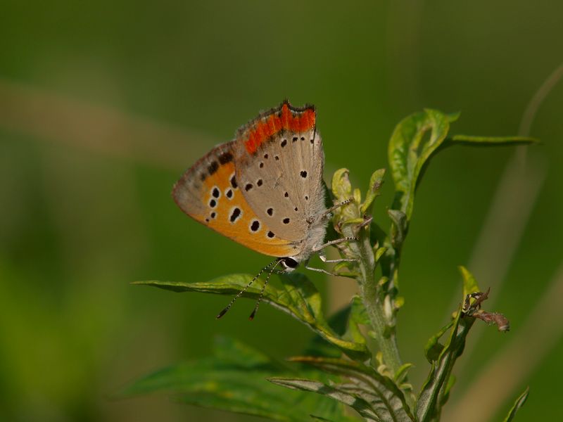 b0108186_23574020.jpg