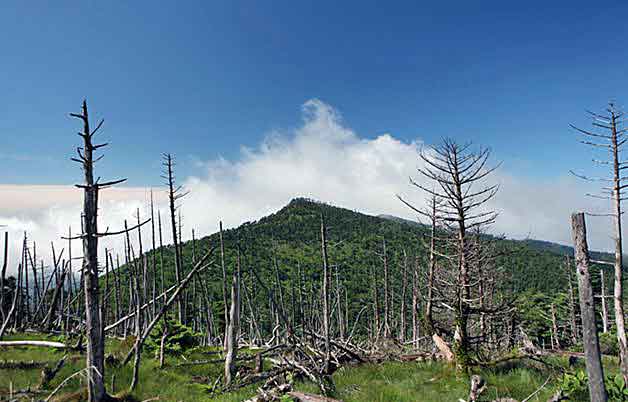 b0108100_2144497.jpg