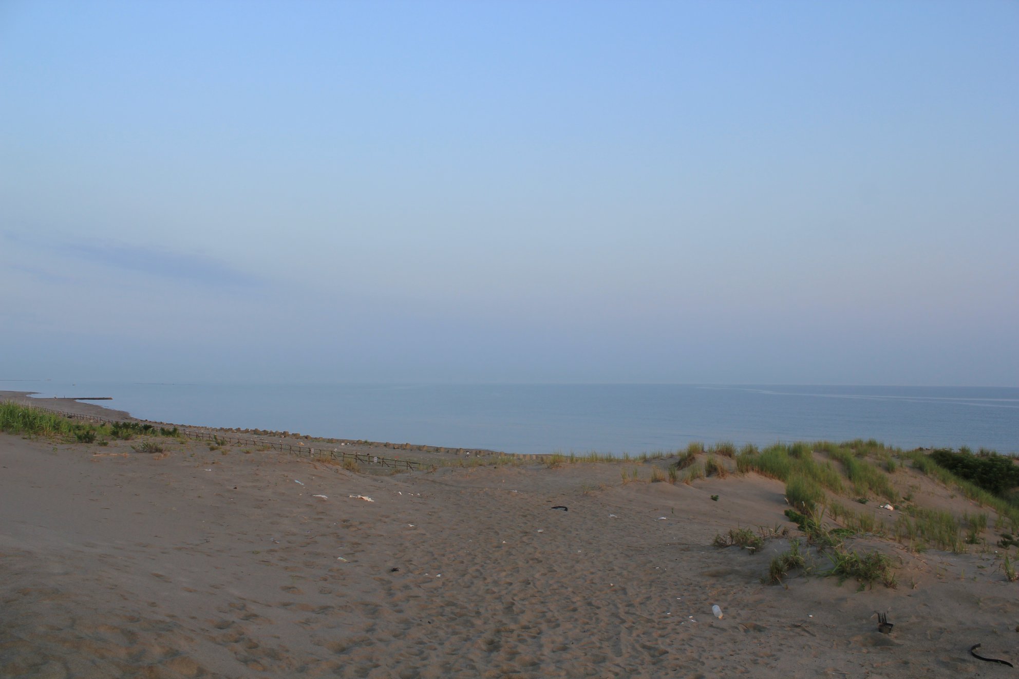 a0264604_756125.jpg