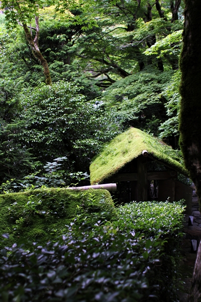 c0228404_16285524.jpg