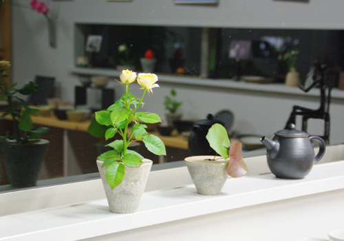a0043405_2357616.jpg