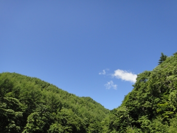 b0172805_254894.jpg