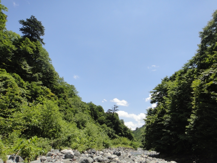 b0172805_25756.jpg
