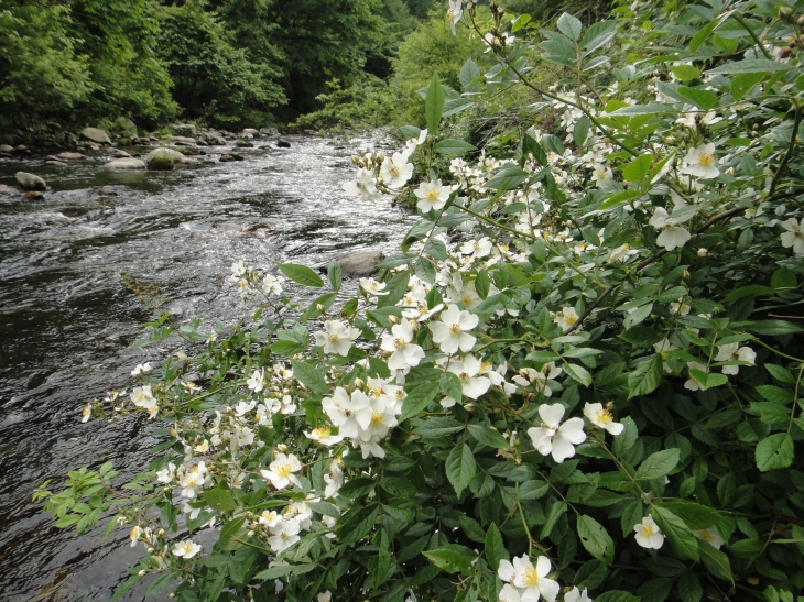 b0172805_325434.jpg