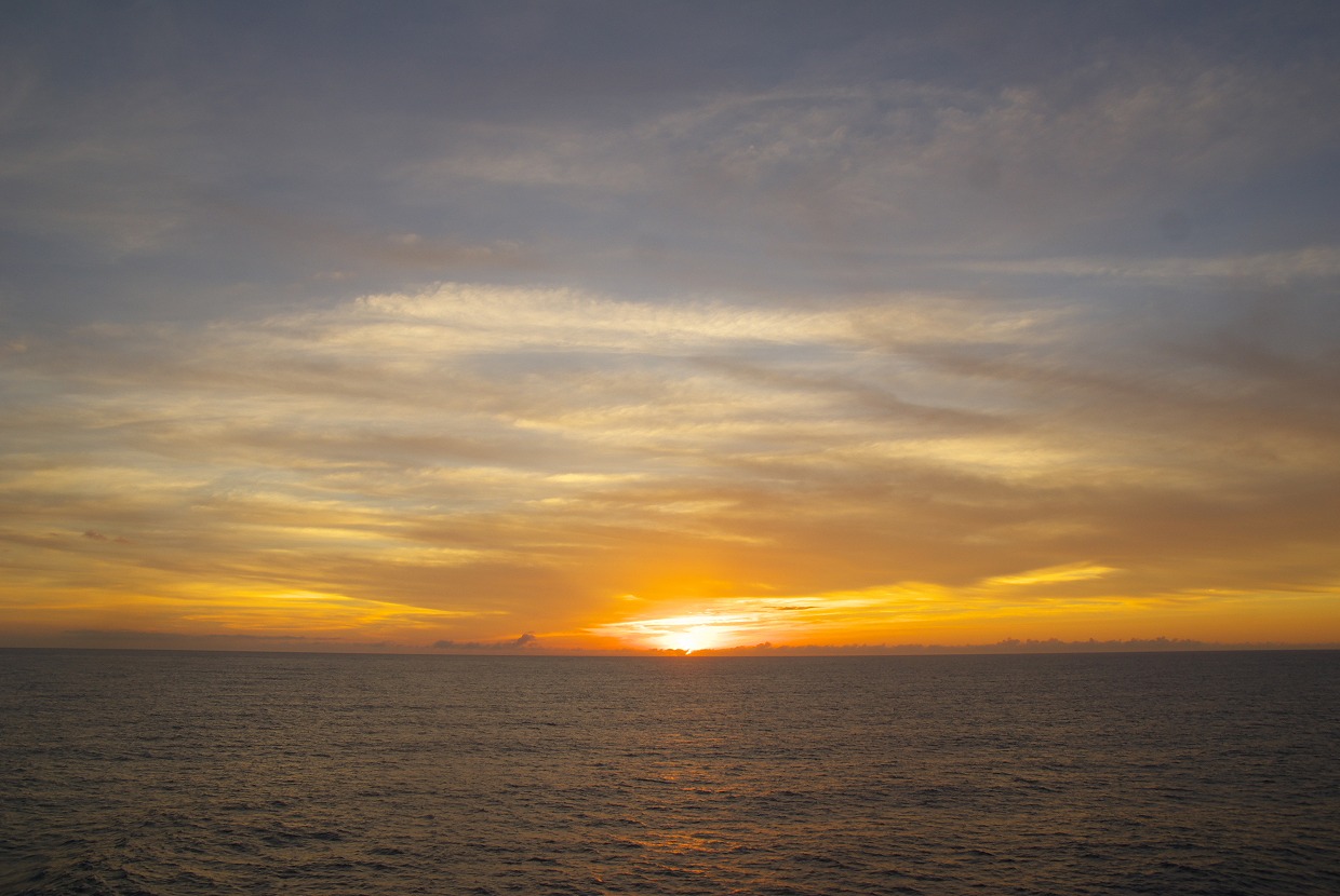 b0174905_543264.jpg