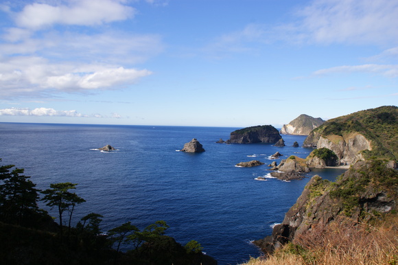 b0253905_20543876.jpg