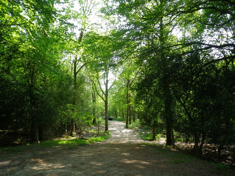 e0200405_22382477.jpg