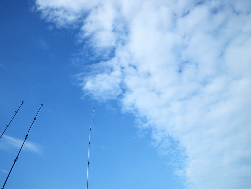 e0123808_023360.jpg