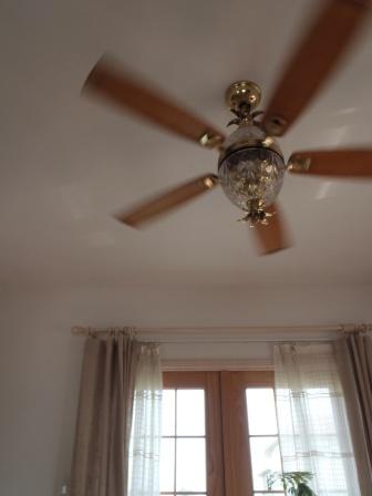 f0113108_894698.jpg