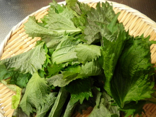 f0208812_2175556.jpg