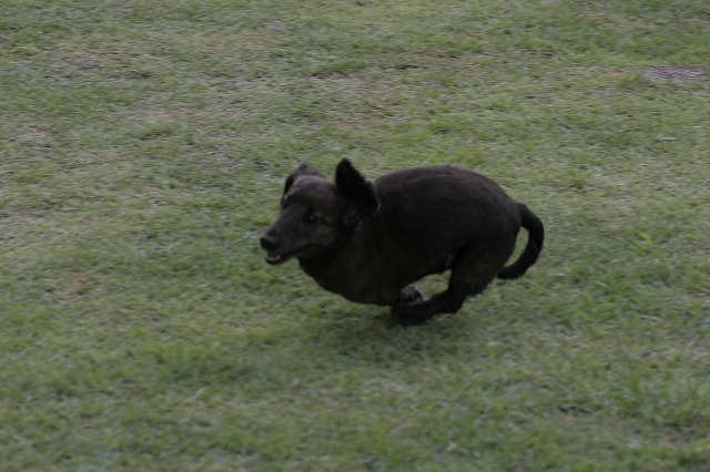 a0098513_991120.jpg