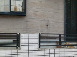 b0073616_9315377.jpg