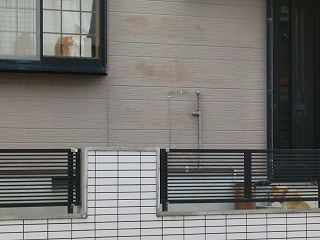 b0073616_9315586.jpg