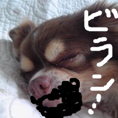 c0036617_1319272.jpg