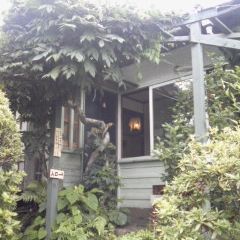 c0036617_1365347.jpg