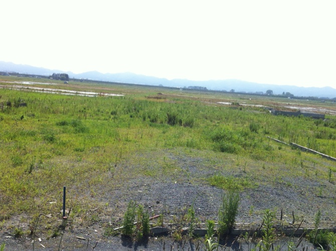 f0141419_5545327.jpg
