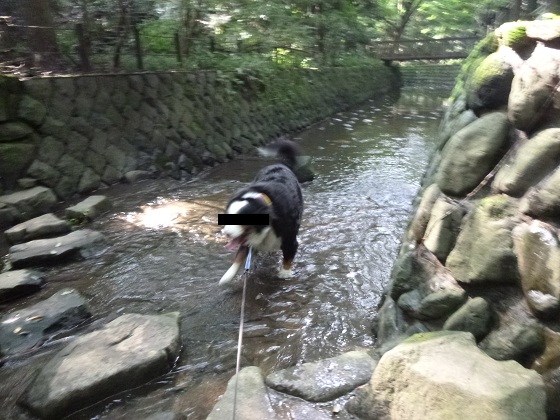 e0203322_201906.jpg