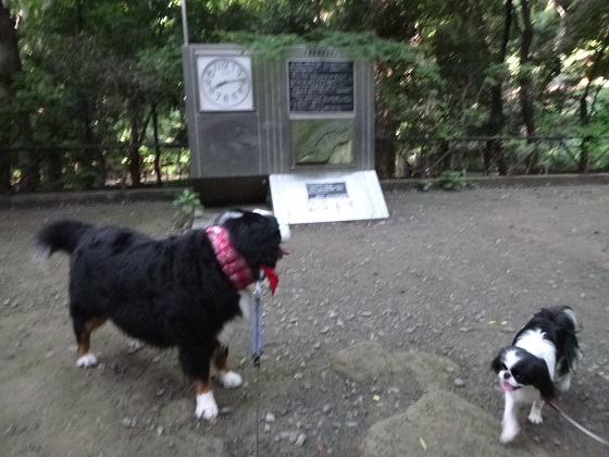 e0203322_20214273.jpg