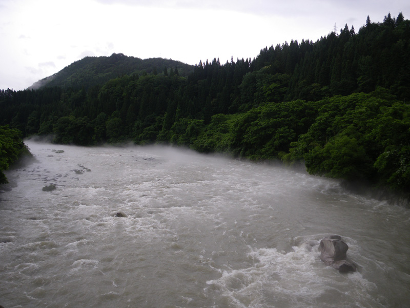 d0172227_10245940.jpg