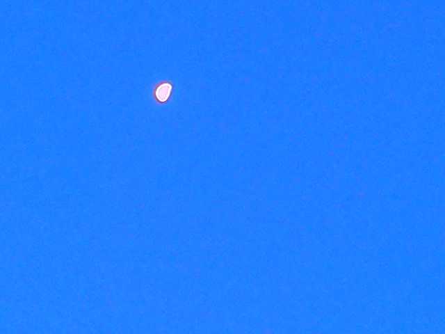 d0127533_4285090.jpg
