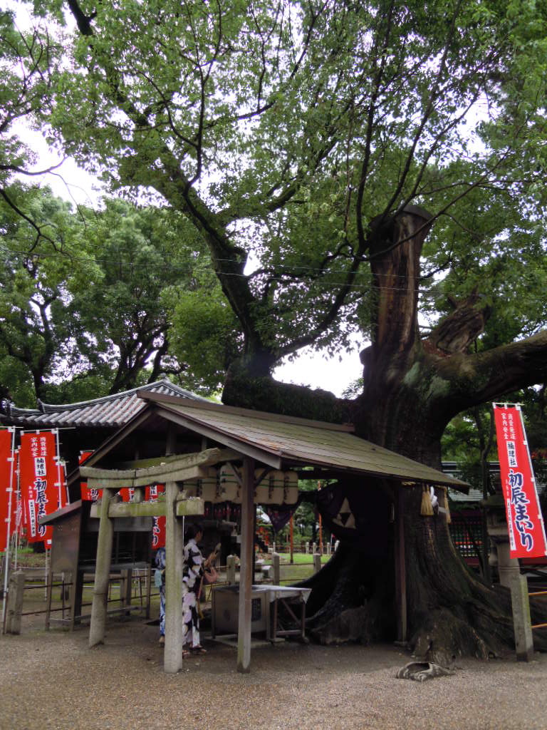 e0081334_21231722.jpg