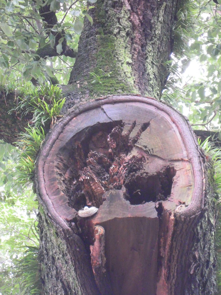 e0081334_21262479.jpg