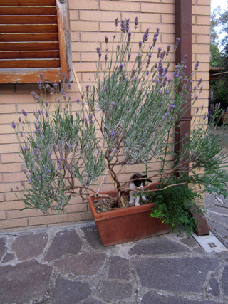 f0234936_19291455.jpg