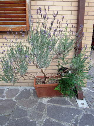 f0234936_19293281.jpg