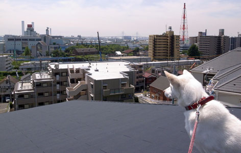 a0117039_21531431.jpg