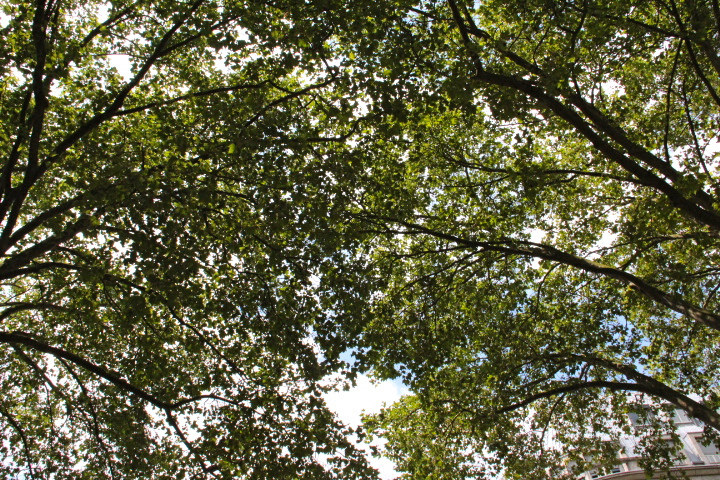 c0153740_2123289.jpg