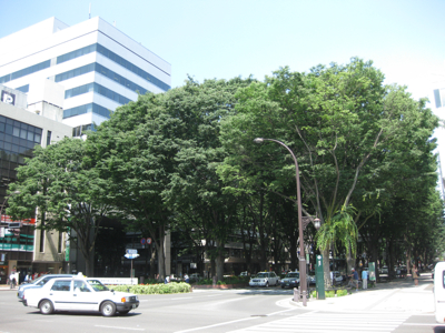 f0141840_39856.jpg